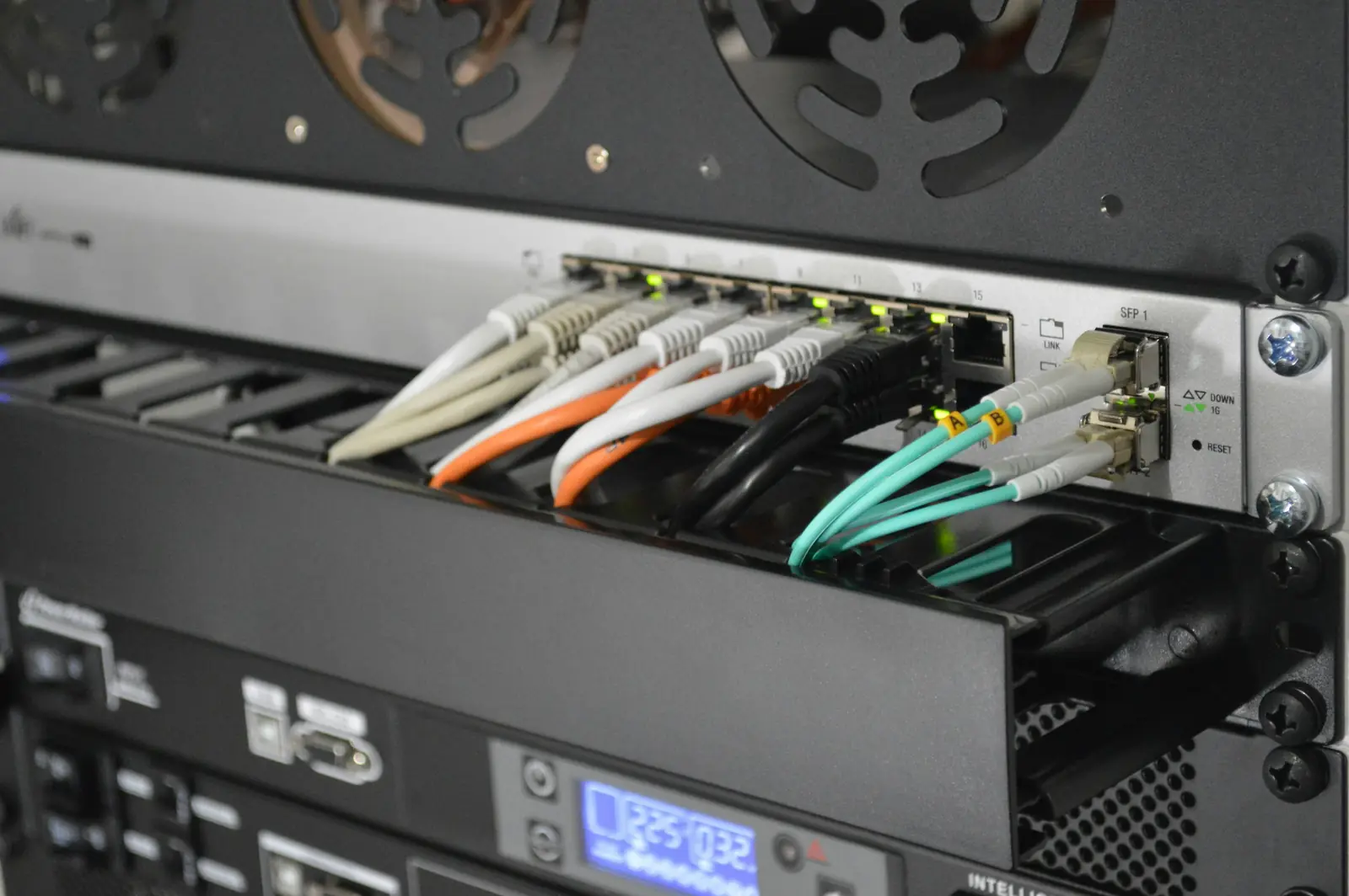 Network patch cables plugged into a rack-mounted switch